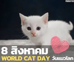 We did not find results for: Productive 8 à¸ª à¸‡à¸«à¸²à¸„à¸¡ World Cat Day à¸§ à¸™à¹à¸¡à¸§à¹‚à¸¥à¸