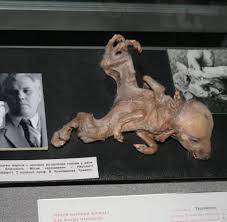 Ähnliche mutationen traten auch beim menschen auf ärzte in der umgebung von tschernobyl berichteten von einem anstieg der geburtsfehler ab 1986. Reaktorkatastrophe Der Neue 29 000 Tonnen Sarg Fur Tschernobyl Welt