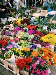 He gave her flower, and they sat down, but they can't able to speak because anna's pr manager was. Notting Hill Markets London Planting Flowers Pretty Flowers Pretty Plants