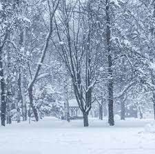 Everyone feels some magic in the air, because of frosts, crystal nights, snow and just this amazing atmosphere. 30 Best Winter Quotes Cute Sayings About Snow The Winter Season