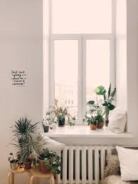 Stick to indoor flower species that are tried and tested in indoor. Best Houseplants For Allergy Sufferers Popsugar Fitness