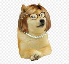 Search the imgflip meme database for popular memes and blank meme templates. Doge Meme Template Png Transparent Png Vhv