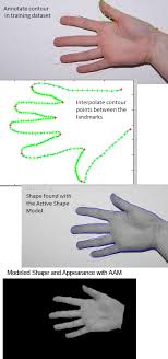 Active Shape Model (ASM) and Active Appearance Model (AAM) - File Exchange  - MATLAB Central