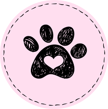 Para cambiar tu contraseña desde la página web de instagram debes hacer clic en ¿has olvidado tu contraseña? Icono Instagram Stories Mascota Perro Amor Animales Gratis De Instagram Stories 1