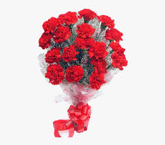 24 Red Carnation Bouquet Gift Basket Rose Good Morning Hd Png Download Transparent Png Image Pngitem Free png images, clipart, graphics, textures, backgrounds, photos and psd files. 24 red carnation bouquet gift basket
