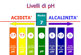 Prugne umeboshi, cavolo broccolo, alghe, agrumi, semi di zucca, cachi, anguria, cannella, melassa, salsa di soia, castagne, pepe, peperoni, miso, cavolo rapa, cavolo verde, aglio, asparago, prezzemolo, indivia, rucola, senape verde, zenzero, broccoli, nettarina, ananas, melassa, melone, mora, mango. Cibi E Bevande Acidificanti Per L Organismo Alimentazione E Nutraceutica