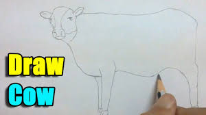 How To Draw A Cow Very Easy Cow Eyes Cow Drawing Drawings