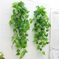 Artificial tulum wall panels (set of 4) artificial foliage wall panels from greensmart artificial foliage wall panels from greensmart decor provide a realistic look and feel without all work of live plants. 2m Artificial Ivy Green Leaf Garland Plants Vine Fake Foliage Plastic Rattan String Wall Decor Shopee Philippines