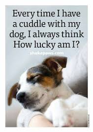 Every Time I Have A Cuddle With My Dog I Always Think How Lucky Am I Dog Quotes Jack Russell Dog Love