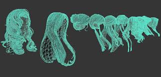 Long Female Hair 10 Species Low Poly 3d Model Hair Female Long Model Low Poly 3d Models Womens Hairstyles Low Poly 3d