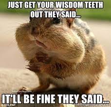 Pin On Dental