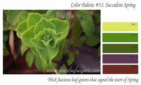 March Color Palette Succulent Spring Jewels Of Sayuri March Colors Color Palette Succulents