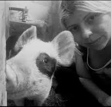 O lado verde da força. De todas as alternativas que já…