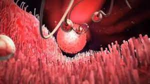 Vezi care sunt contraindicațiile și efectele secundare din prospectul pastilelor de a doua zi escapelle și postinor. Cum AcÈ›ioneazÄƒ Escapelle Postinor Pastila De A Doua Zi Youtube