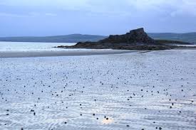 Banna Strand Tralee Visit Ireland Ireland