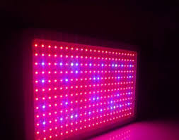 The 90 watt led all red flower booster grow light is a supplemental light that is added to any grow room during flowering to increase the amount of flowering and the crop yield. Ufo Led Grow Lights Led Grow Light World Australia