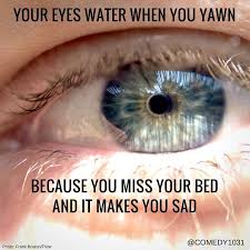 Pin By Jenny Leese On I Lol D Eyes Watering Yawning Laughter