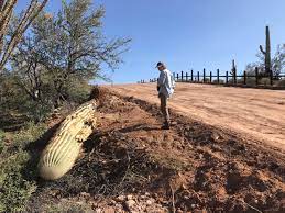 Organ pipe cactus national monument is the large desert area in southwestern arizona. Blasts For Border Wall Construction Threaten Native American Burial Grounds In Arizona Congressman Ktla