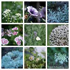 Maybe you would like to learn more about one of these? Moon Gardens