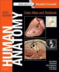 Learn to coloring your anatomy cartoon such as brain anatomy, heart anatomy, human body anatomy etc. Pdf Full Human Anatomy Color Atlas And Textbook 6e Full Book Ui67hguyij