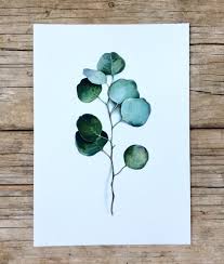 Eukalyptus Aquarell Print Kunst Druck Und Sticker Grune Blatter Zweig Bild Wand Deko Botanik Poster Pflanzen Zeichnung Skandi Style Botanical Art Illustration Wall Art Easter Drawings