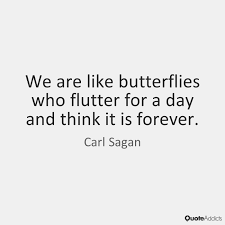 Pin On Quotes
