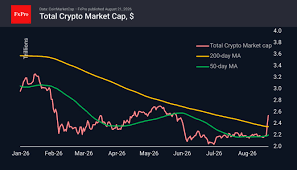 The Cryptocurrency Bull Market Has Begun