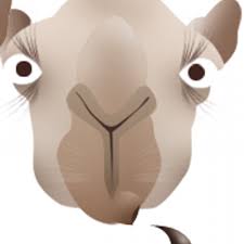 And if you have created a wishlist in your amazon account, it watched the price history of all. Daniel Green Camelfarmer Twitter