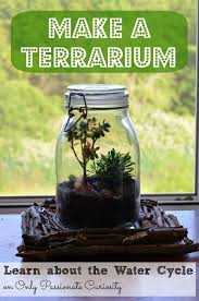 Learn About The Water Cycle Make A Terrarium How To Make Terrariums Water Cycle Girl Scout Activities