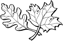Our guest downloaded it many times from june 24, 2014. Oak And Maple Leaves Coloring Page Free Printable Coloring Pages For Kids