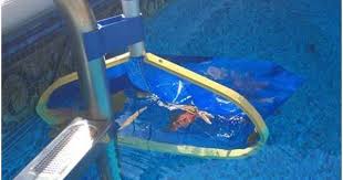 Leaf Bone Leaf Net Skimmer Clip Pool Net Ladder Attach Pool Nets Pool Skimmer Pool Cleaning