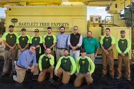 You will need to have an account on the site you choose. Tree Service And Shrub Care In Danbury Ct Bartlett