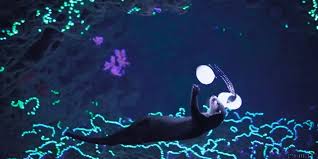 OpenAI Sora 视频生成工具使用指南| 前途科技