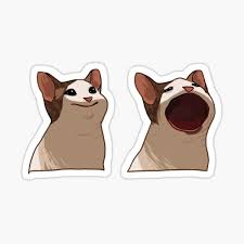 Pop cat meme png 4k resolution for use on your projects. Pop Cat Sticker By Electropastry Redbubble