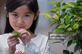 75 Joey Ogle By Stock Photos, High-Res Pictures, and Images