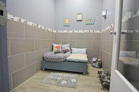 We did not find results for: Wagging Lounge Dog Resort Dog Daycare And Boarding Dog Boarding