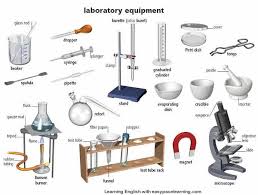 Laboratory Equipment Learning The Vocabulary L Chemistry Lab Equipment Lab Equipment Science Lab Tools