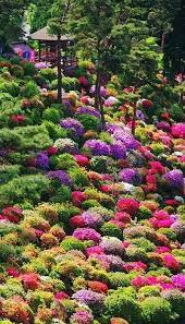 decoracion hogar paisajes naturales community google beaux jardins les plus beaux jardins jardin japonais