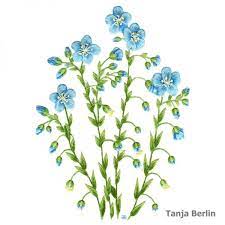Needle Painting Blue Flax Berlin Embroidery Designs