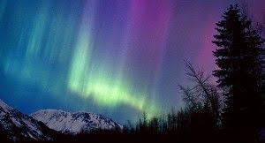 2021 Alaska Northern Lights Tour Wild Alaska Travel Northern Lights Painting Northern Lights Art Aurora Borealis Painting