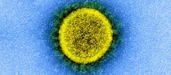 A népszerű háziorvos szerint az indiai mutáns már a nyakunkon, ezért hamarosan minden megváltozhat. Tech A Brit Es Az Indiai Koronavirus Mutacio Kevereket Azonositottak Vietnamban Hvg Hu