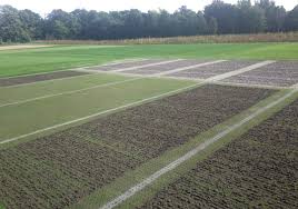 Understand that the material you add to the surface of the lawn will eventually become part of the root zone. Does Core Recycling Affect Putting Green Performance Gcmonline Com