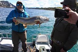 It is the approximate weight of a cube of water 10 centimeters on a side. 7 8kg 17lbs Trout Picture Of Wilderness Fishing Yukon Whitehorse Tripadvisor