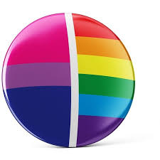 Pin On Bi Pride Stand Up