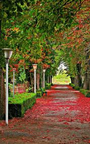 Nature wallpaper for home screen hd. Nature Wallpaper Home Screen Green Background
