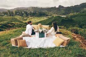 Menarik Bulan Madu Hanya Di Cameron Highlands Donna