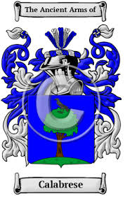 From alemannia, the latin name for germany. Calabrese Name Meaning Family History Family Crest Coats Of Arms