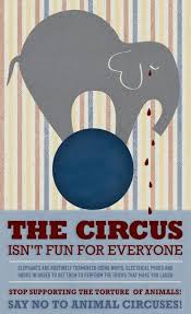 Animal Free Circuses Animal Rights Circus Animals Circus