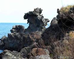 濟州島龍頭岩的圖片