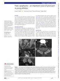 Image result for Pubic Apophysitis